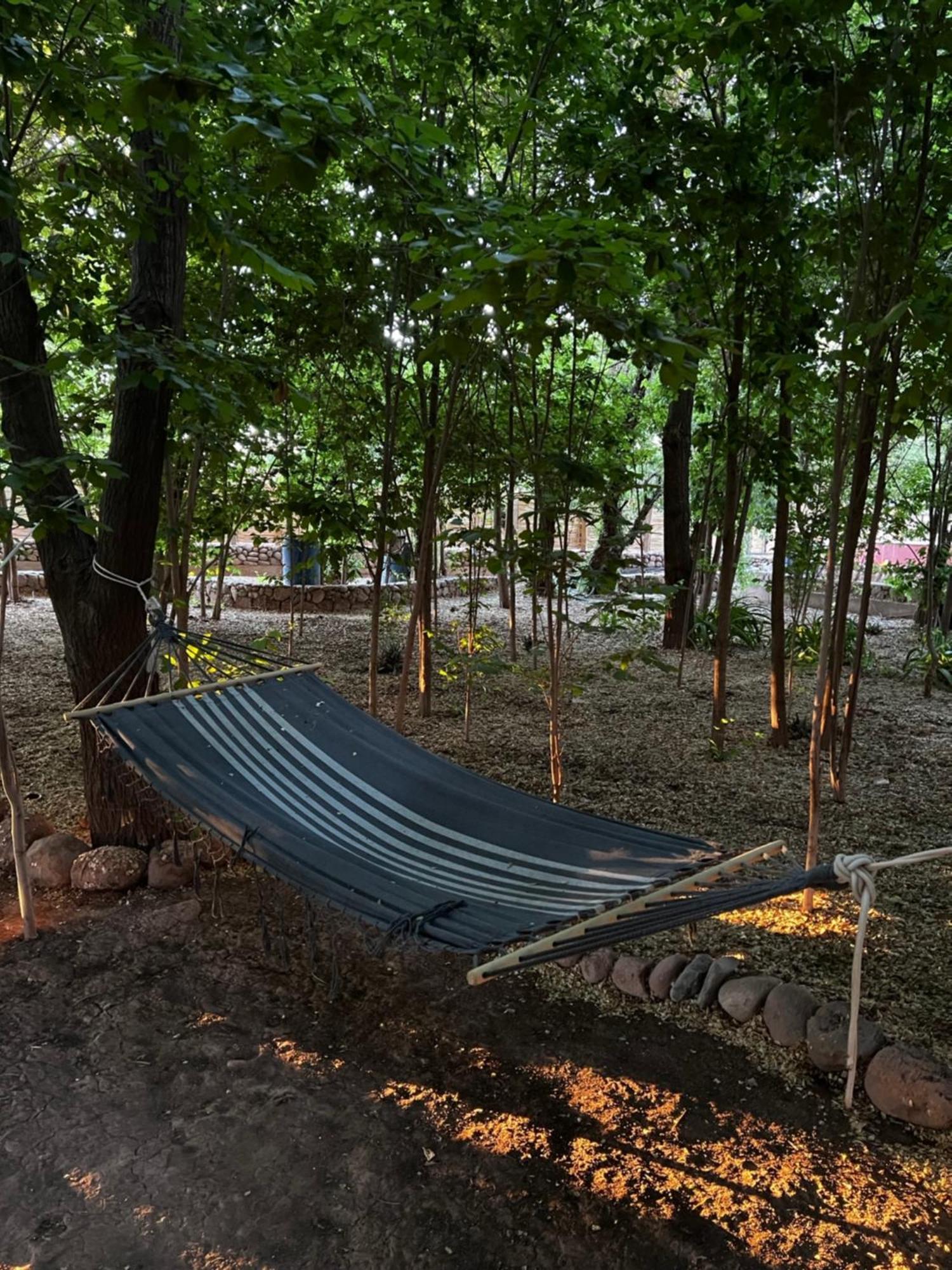 سان بيدرو دي أتاكاما Foresta Atacama Lodge المظهر الخارجي الصورة